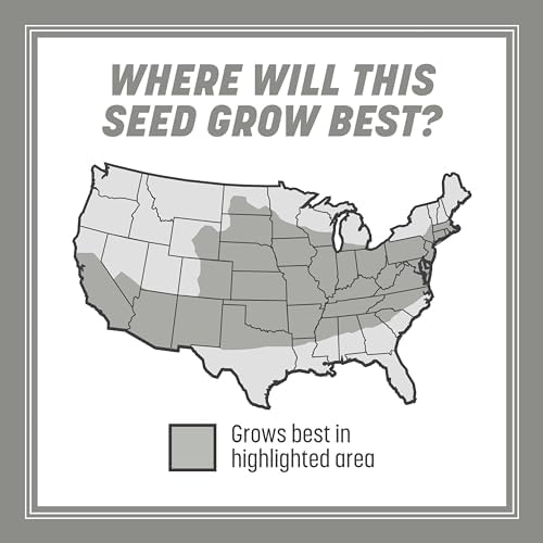 Pennington Contractors Central Grass Seed Mix, Rapid Grass Seeds for Lawn, 20 lb - Image 4