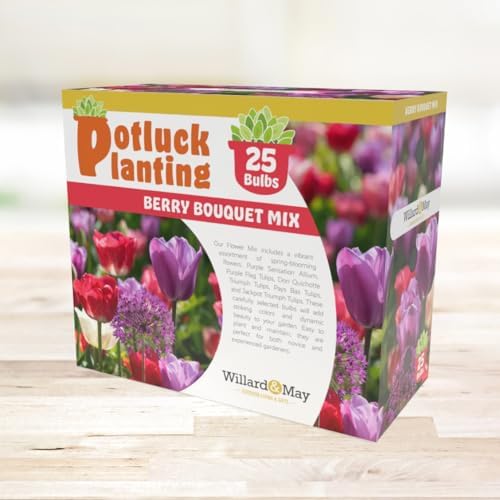 All-in-One Flower Garden Kit - 25 Flower Bulbs Per Box - Potluck Planting Berry Bouquet Mix - Allium and Tulip Mix - Fragrant - Naturalizing - Live Outdoor Garden - Easy to Plant Flowers - Image 5