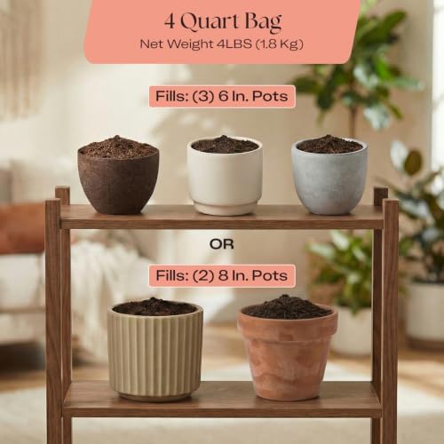Rosy Soil Cactus & Succulent Potting Mix, 4 Quarts, Pack of 3 - Image 6