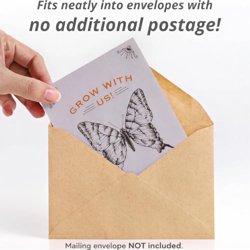 Bentley Seeds Grow with Us Pre Filled Butterfly Mix Seed Packets - 25 Individual Assortment Butterfly Mix Seed Packs for Party Favors Non-GMO Eco-Friendly Summer to Fall Gift - Outdoor Garden Seeds - Image 3