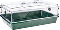 93774 Domed Propagator, 1 Height Extender, Green by EarlyGrow