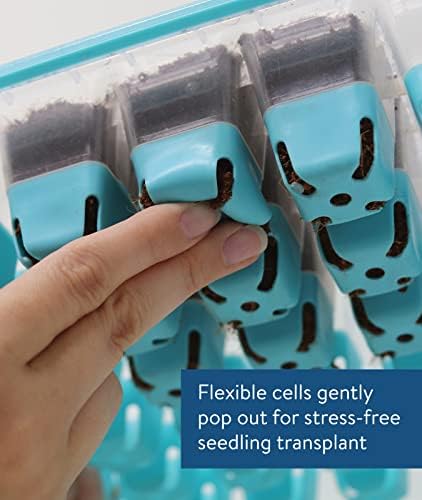 Burpee 36 & 8 Cell Seed Starting Trays | Reusable Indoor Vegetable, Flower & Herb Garden Kit | Flexible Silicone Cells for Reduced Transplant Stress - Image 3