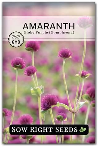 Sow Right Seeds - Purple Globe Amaranth Seed for Planting Gomphrena Flower by SowRightSeeds