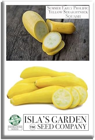 Early Prolific Straightneck Squash Seeds – 50+ Non-GMO & Heirloom Vegetable Seeds, Cucurbita Pepo, Fast Growing Yellow Summer Squash, High Yield for Containers & Gardens, Gift Idea by Isla’s Garden by IslasGardenSeedsCompany