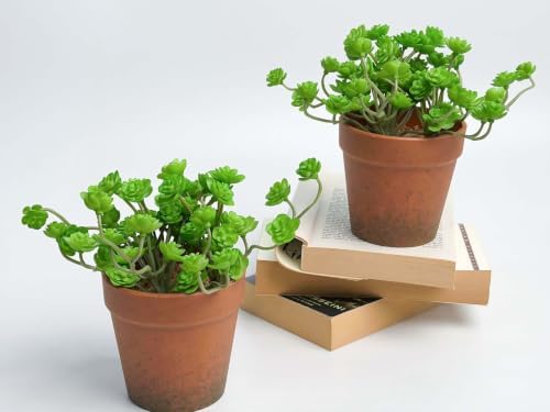 Artificial Green Trailing Rosette Succulent Potted Plant, 2 Pack - Image 6