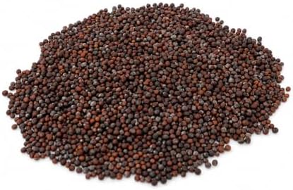 Korean Spring Cabbage Seeds (Bomdong) – Asian Leafy Vegetable for Home Gardens - Image 3