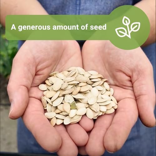 Sow Right Seeds - 225 Mixed Zucchini Seed for Planting Bulk Jumbo Pack - Image 3