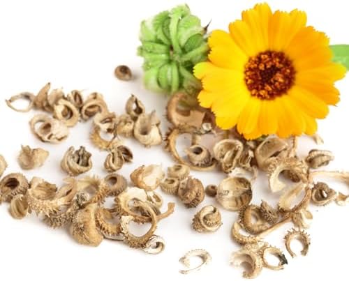 Seed Needs Flower Seeds to Plant Calendula Pacific Beauty Mix - Bulk Pack - Image 7