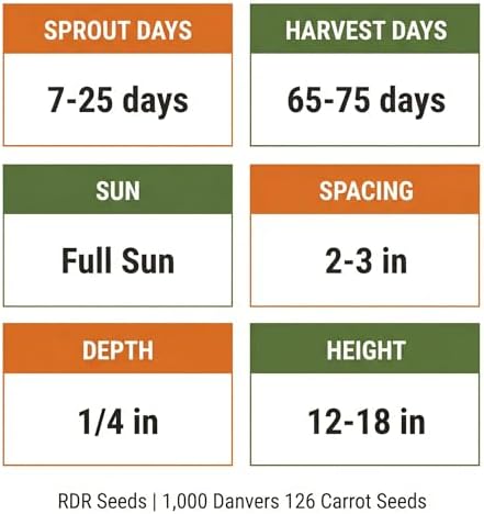 1000 Danvers 126 Carrot Seeds for Planting - Sweet Heavy-Soil Heirloom, Non-GMO, USA Grown by RDR Seeds - Image 4