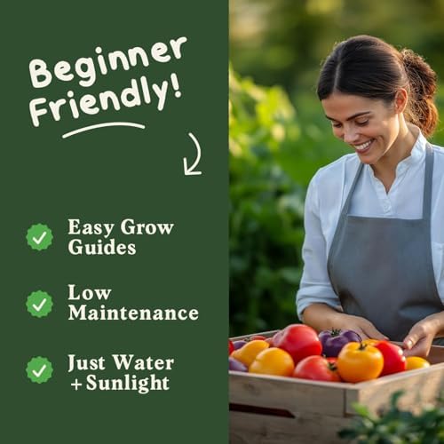 Organic Non-GMO Vegetable Seeds for Planting (Beefsteak Tomato) - Image 4