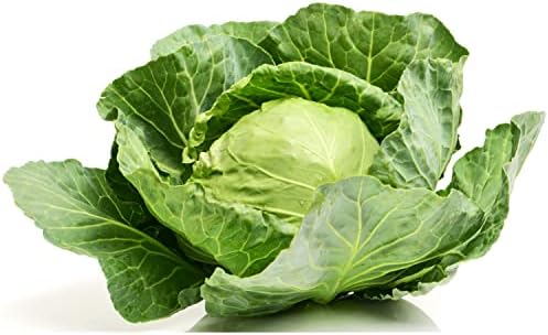 TKE Farms & Gardens - Cabbage Seeds for Planting, Golden Acre, 3 Grams, 700 Heirloom Seeds, Non-GMO, Packet Includes Instructions for Growing, Brassica oleracea, Qty 1 - Image 2