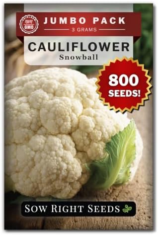 Sow Right Seeds - 800 White Snowball Cauliflower Seed for Planting Bulk by SowRightSeeds