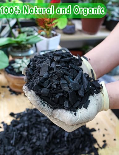 TOYPOPOR Horticultural Charcoal for Indoor Plants (3 Quarts) Hardwood Potting Soil Amendment Helps Improve Drainage for Orchids, Succulent, Cactus, Terrariums, and Gardening - Image 2