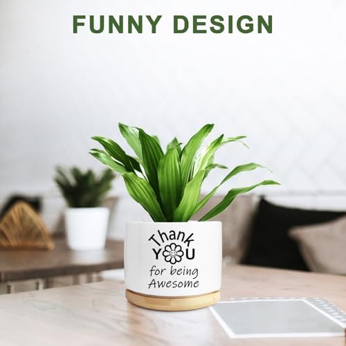 Thank You Gifts for Women, Succulent Planter, Flower Cactus Plant Pot, Employee Appreciation Gifts for Coworkers Nurse Friends Women, Thank You for Being Awesome (No Plants) - Image 5