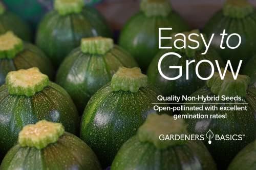 Gardeners Basics Round Zucchini Seeds for Planting Heirloom, Non-GMO Vegetable Summer Squash Container Variety, 3 Grams Seeds Great for Summer Garden - Image 4