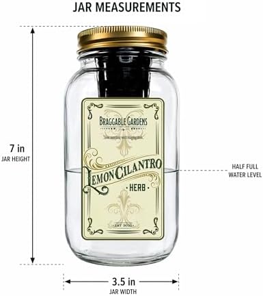 Lemon Cilantro Indoor Herb Garden Kit – Mason Jar Hydroponic Grow Kit – Windowsill Countertop Herb Planter – Grow Fresh Cilantro Indoors - Image 4