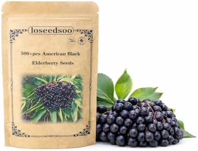 Elderberry Seeds - American Black Elderberry Seeds 500+ for Planting – Sambucus Canadensis Berry Seeds, Non-GMO Heirloom Fruit Shrub Seeds for Garden & Outdoor Growing, loseedsoo by Unknown
