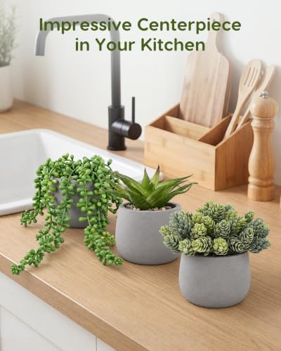 Artificial Succulents Plants in Grey Pots (Set of 3) - Faux String of Pearls, Aloe & Sedum Potted Plants Small Fake Plants Indoor for Home Office Table Desk Shelf Kitchen Bathroom Decor - Image 7