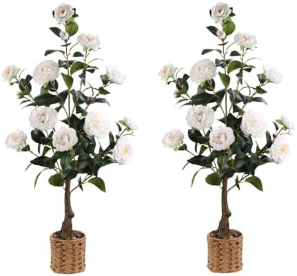 Artificial Camellia Tree 2 Pack, 3Ft Faux White Camellia Plant in Pot, Fake Outdoor Tree Camellia Flower Tree for Home Office Living Room Floor Indoor Decor by Unknown