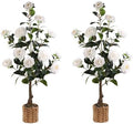 Artificial Camellia Tree 2 Pack, 3Ft Faux White Camellia Plant in Pot, Fake Outdoor Tree Camellia Flower Tree for Home Office Living Room Floor Indoor Decor by Unknown