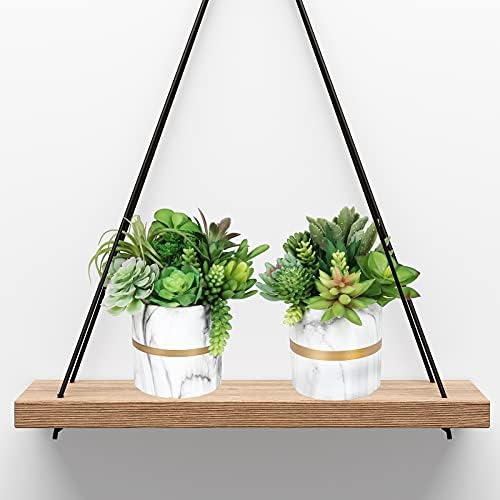 Winlyn 20 Pcs Assorted Artificial Succulents Plants Unpotted Small Green Cactus Echeveria Air Plant Picks Fake Succulents Bulk for Succulent Garden Wreath Floral Arrangement Indoor Outdoor Home Decor - Image 6