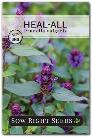 Sow Right Seeds - Heal-All Seed for Planting Self Heal Perennial Herb by SowRightSeeds