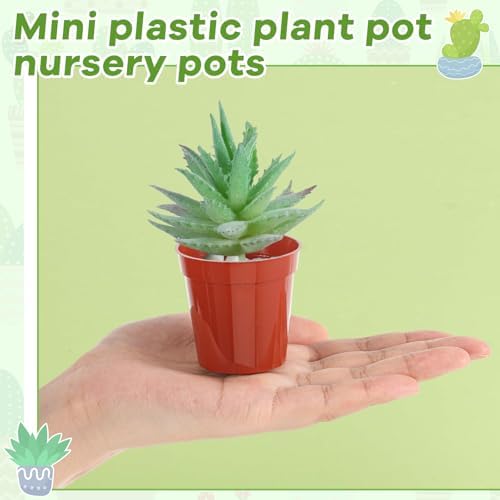 Yaomiao 200 Pcs 2 Inch Red Mini Nursery Pots with Drainage Holes - Image 4