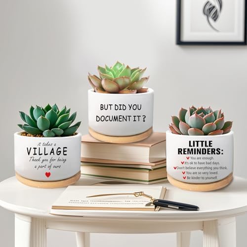 Office Desk Shelf Decor, Ceramic Succulent Plant Pot (Plants Not Included) - Image 5