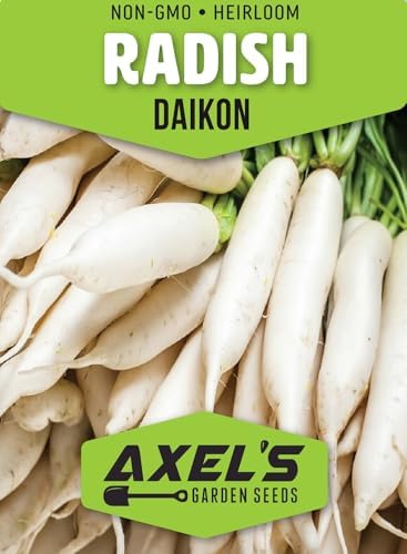 Japanese Daikon Radish Seeds for Planting - 100 Heirloom Non GMO Seeds - Full Planting Instructions to Plant & Grow a Home Vegetable Garden - Great Gardening Gift, 1 Packet - Image 2