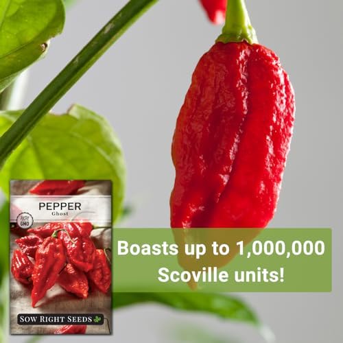 Sow Right Seeds- Ghost Pepper Seed for Planting Outdoor Hottest Peppers 4pk - Image 5