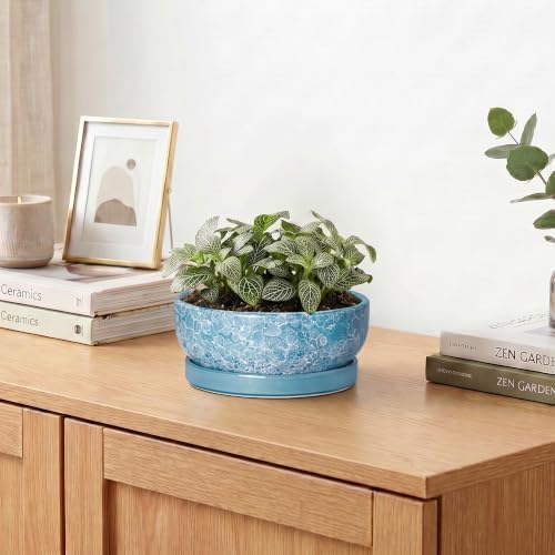 Bonsai Tree Pots 6 Inch, Ceramic Succulent Planters, Droplet Blue - Image 6