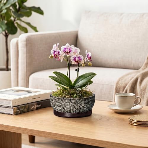 Succulent Pots 6 Inch, Ceramic Bonsai Pots with Tray, White Leopard - Image 5