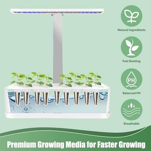 Mint Seed Pods for All Hydroponics Growing Systems, 12 Pods Herb Kit with Seeds of Peppermint, Grow Your Own Herb Garden at Home - Image 5