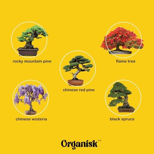 Bonsai Starter Kit - 5 Unique Tree Types, Special DIY Garden Hobby Kits - Great for Plant Lovers, for Kids, Men, Women, and Bonsai Enthusiasts - Image 5