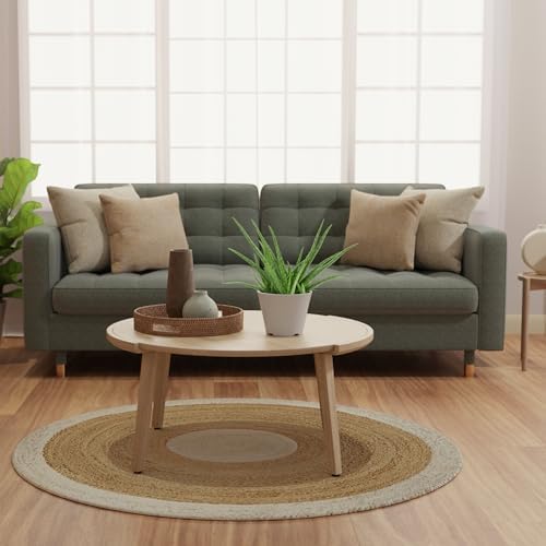 Arcadia Garden Products Live Aloe Vera Succulent Easy Indoor Houseplant in Plastic Pot, Air Purifying Ornamental Plant Gift for Home and Garden Décor, 6 Inch - Image 4