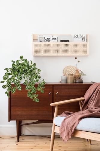 Briful Faux Plant Indoor, 17.7" Artificial Watermelon Peperomia Trailing Plant in White Plastic Pot, Realistic Fake Cascading Greenery for Cabinet Shelf Bathroom Office Table Home Kitchen Decor - Image 3