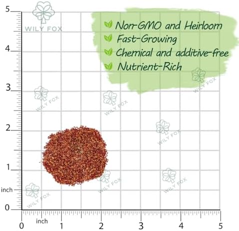 Rare Strawberry Seeds for Planting – 300 Non-GMO Heirloom Seeds, Hydroponic & Soil Growing, Indoor Outdoor Gardening, Containers and Raised Beds - Extra Big, Juicy, Sweet Strawberries - Image 3
