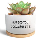 Office Desk Shelf Decor, Ceramic Succulent Plant Pot (Plants Not Included) by Unknown