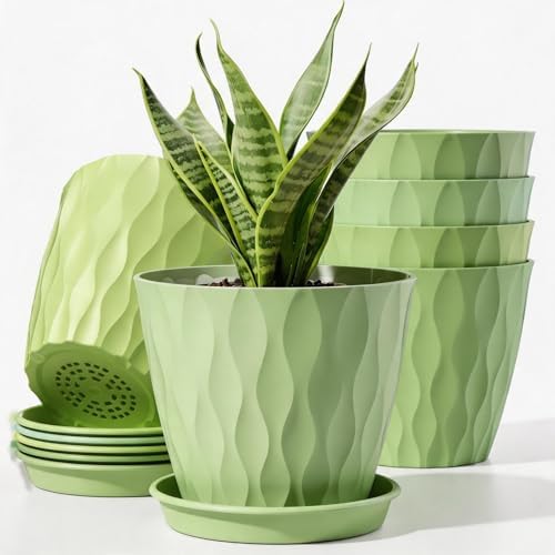 6 Pack Plant Pots with Drainage Holes, 4 Inch Plastic Indoor Flower Pots, Succulent Pots for Orchids, Violets, Succulents, Herbs and Other Small Plant, Light Green by Unknown