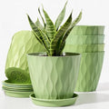 6 Pack Plant Pots with Drainage Holes, 4 Inch Plastic Indoor Flower Pots, Succulent Pots for Orchids, Violets, Succulents, Herbs and Other Small Plant, Light Green by Unknown