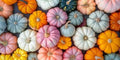 Bright and Colorful Pumpkin Patch Seeding Kit (20 Mixed Seeds) - Mix of Amazing Colors, Pink, Black, Blue, Orange White. Seeds for Planting by CZGrain