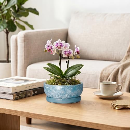 Bonsai Tree Pots 6 Inch, Ceramic Succulent Planters, Droplet Blue - Image 5
