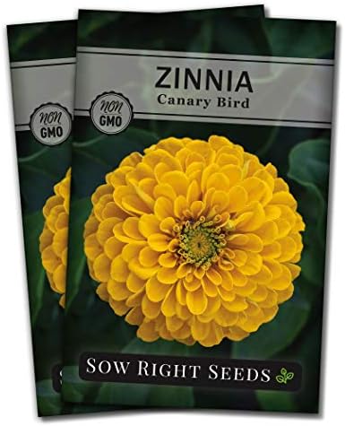 Sow Right Seeds - Canary Bird Zinnia Seed for Planting Flowers Outdoors 2pk by SowRightSeeds
