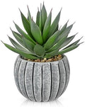 Briful Artificial Aloe Succulent Plant in Aged Cement-Look Ceramic Pot – 8" Tall Faux Agave Plant with Decorative Pebbles – Realistic Desk or Shelf Decor for Home, Office, Bathroom by Briful