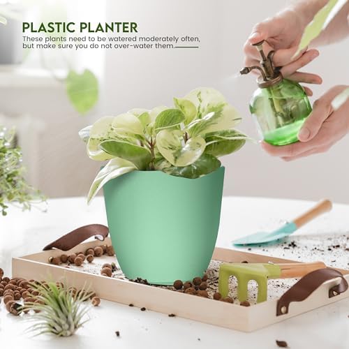 Utopia Home - Plant Pots Indoor with Drainage - 7/6.6/6/5.3/4.8 Inches Home Decor Flower Pots for Indoor Planter - Pack of 5 Plastic Planters for Indoor Plants, Cactus, Succulents Pot - Mint - Image 6