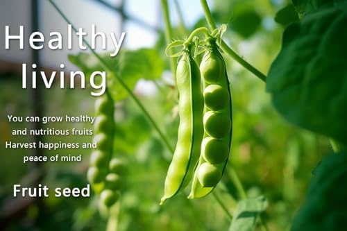 Vegetable Seeds Kit Fruit Seeds for Planting Non-GMO and Heirloom 35 Varieties Seeds for Planting Vegetables 10 Plant Markers - Image 4