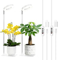 3.54" White Grow Light, Full Spectrum Plant Lights for Indoor Growing with 3/9/12H Timer, 3 Color Modes, 10 Brightness, 6.6"-24.8" Height Adjustable, Small Halo Grow Light with Base, 2 Pack by Hywyimlait