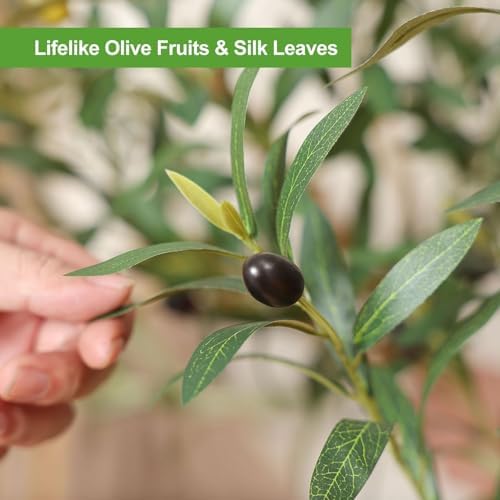 Faux Olive Tree 6FT – Tall Artificial Plants Indoor with Real Wood Trunk & Seagrass Basket, Lifelike Silk Leaves & Fruits – Potted Large Fake Trees for Home, Living Room, Bedroom & Office Decor - Image 4