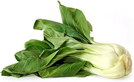 1000 Canton Pak Choi Bok Choy Chinese Cabbage Seeds Heirloom Non-GMO - Image 3