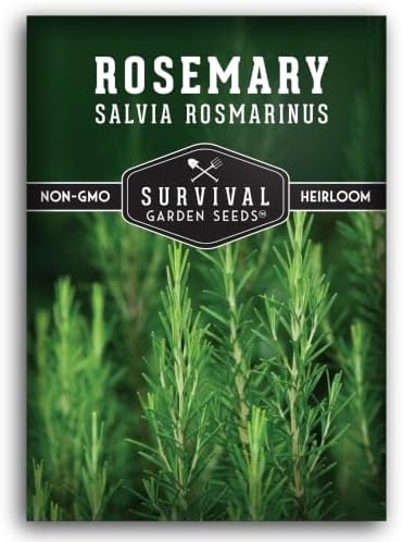 Rosemary Seeds for Planting – Survival Garden Seeds (1 Pack) by SurvivalGardenSeeds